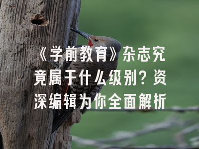《学前教育》杂志究竟属于什么级别？资深编辑为你全面解析