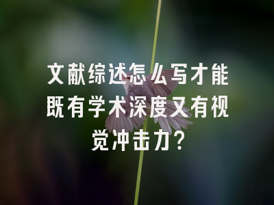文献综述怎么写才能既有学术深度又有视觉冲击力？