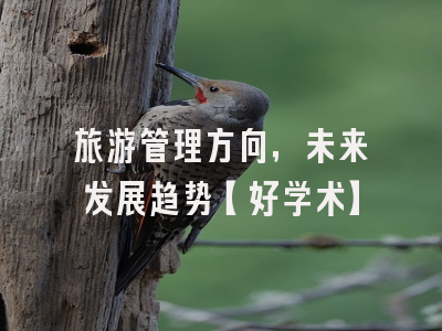 旅游管理方向，未来发展趋势【好学术】