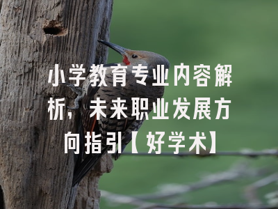 小学教育专业内容解析，未来职业发展方向指引【好学术】