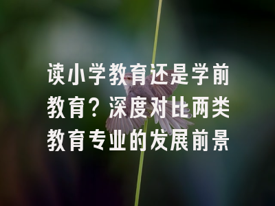 读小学教育还是学前教育？深度对比两类教育专业的发展前景