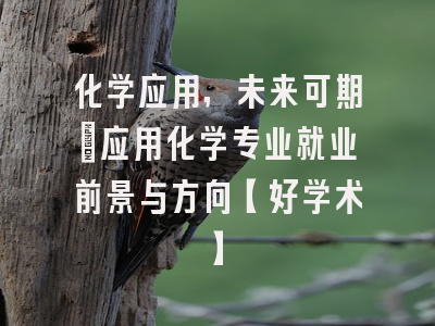 化学应用，未来可期：应用化学专业就业前景与方向【好学术】
