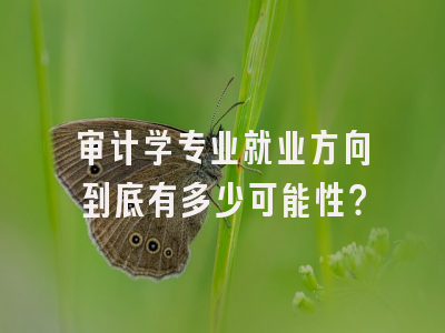 审计学专业就业方向到底有多少可能性？