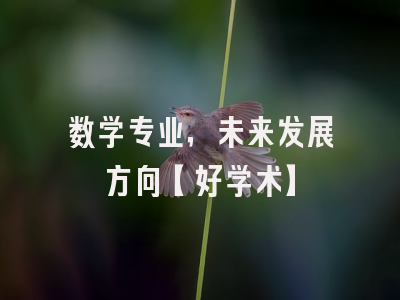 数学专业，未来发展方向【好学术】