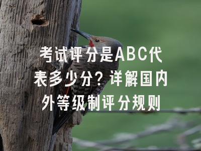 考试评分是ABC代表多少分？详解国内外等级制评分规则