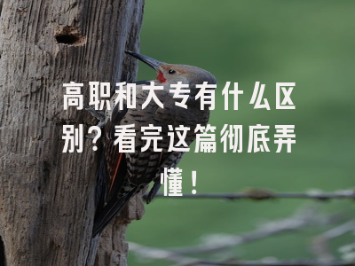 高职和大专有什么区别？看完这篇彻底弄懂！