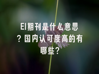 EI期刊是什么意思？国内认可度高的有哪些？