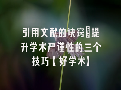 引用文献的诀窍：提升学术严谨性的三个技巧【好学术】