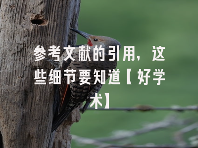 参考文献的引用，这些细节要知道【好学术】