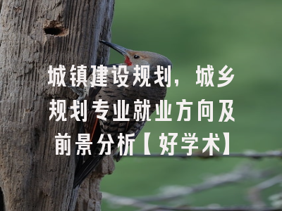 城镇建设规划，城乡规划专业就业方向及前景分析【好学术】