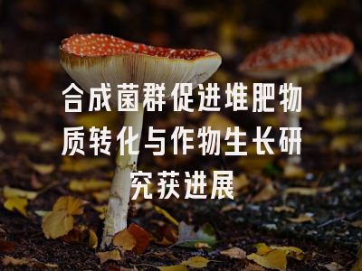合成菌群促进堆肥物质转化与作物生长研究获进展