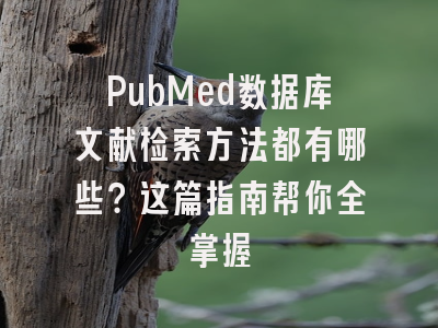 PubMed数据库文献检索方法都有哪些？这篇指南帮你全掌握