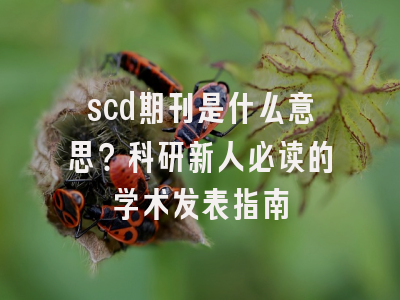 scd期刊是什么意思？科研新人必读的学术发表指南