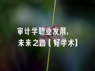 审计学职业发展, 未来之路【好学术】