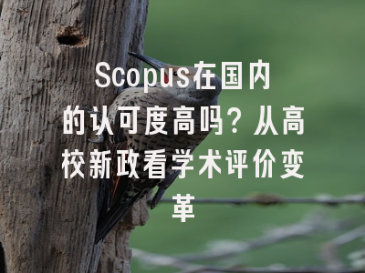 Scopus在国内的认可度高吗？从高校新政看学术评价变革
