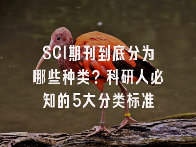 SCI期刊到底分为哪些种类？科研人必知的5大分类标准