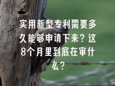 实用新型专利需要多久能够申请下来？这8个月里到底在审什么？