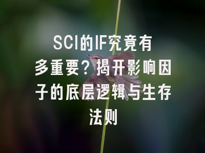 SCI的IF究竟有多重要？揭开影响因子的底层逻辑与生存法则