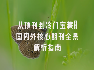 从顶刊到冷门宝藏：国内外核心期刊全景解析指南