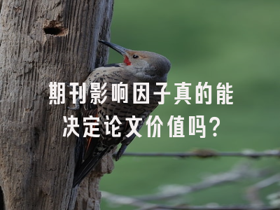 期刊影响因子真的能决定论文价值吗？