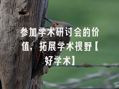 参加学术研讨会的价值，拓展学术视野【好学术】