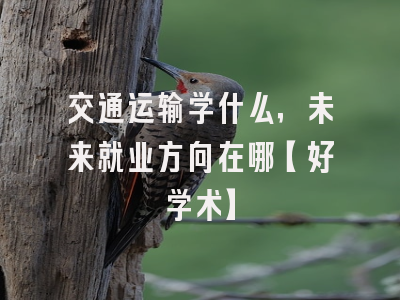交通运输学什么，未来就业方向在哪【好学术】