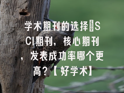 学术期刊的选择：SCI期刊，核心期刊，发表成功率哪个更高？【好学术】