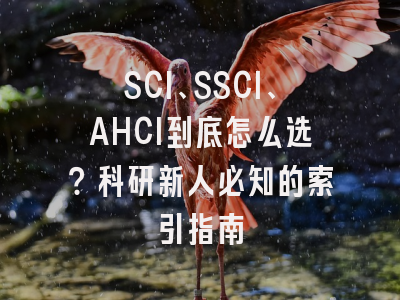 SCI、SSCI、AHCI到底怎么选？科研新人必知的索引指南