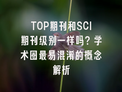 TOP期刊和SCI期刊级别一样吗？学术圈最易混淆的概念解析