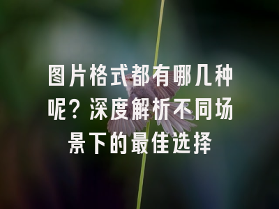 图片格式都有哪几种呢？深度解析不同场景下的最佳选择