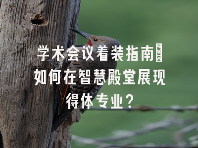 学术会议着装指南：如何在智慧殿堂展现得体专业？
