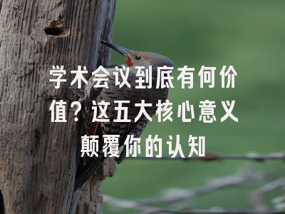 学术会议到底有何价值？这五大核心意义颠覆你的认知