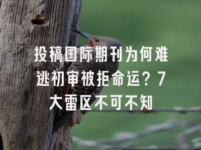投稿国际期刊为何难逃初审被拒命运？7大雷区不可不知