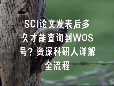SCI论文发表后多久才能查询到WOS号？资深科研人详解全流程
