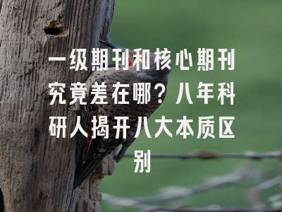 一级期刊和核心期刊究竟差在哪？八年科研人揭开八大本质区别