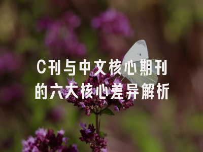 C刊与中文核心期刊的六大核心差异解析