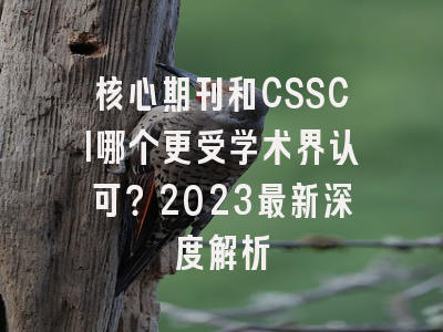 核心期刊和CSSCI哪个更受学术界认可？2023最新深度解析