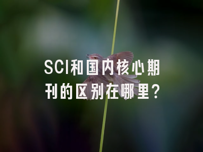 SCI和国内核心期刊的区别在哪里？