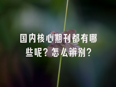 国内核心期刊都有哪些呢？怎么辨别？