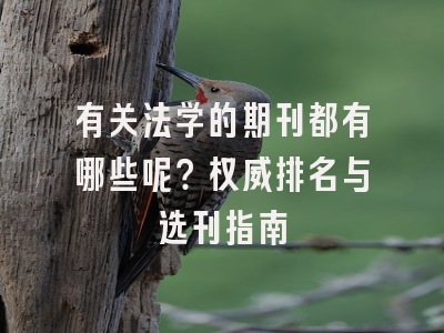 有关法学的期刊都有哪些呢？权威排名与选刊指南
