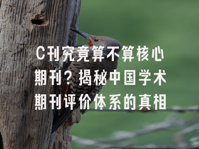 C刊究竟算不算核心期刊？揭秘中国学术期刊评价体系的真相