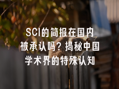 SCI的简报在国内被承认吗？揭秘中国学术界的特殊认知