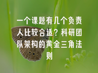 一个课题有几个负责人比较合适？科研团队架构的黄金三角法则