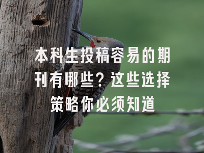 本科生投稿容易的期刊有哪些？这些选择策略你必须知道