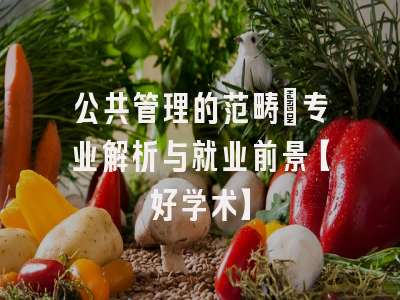 公共管理的范畴：专业解析与就业前景【好学术】