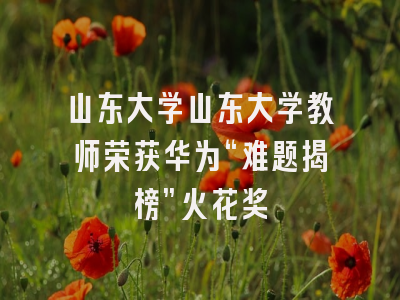 山东大学山东大学教师荣获华为“难题揭榜”火花奖