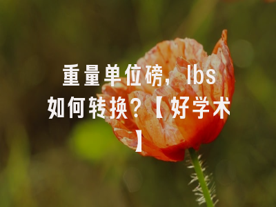 重量单位磅，lbs如何转换？【好学术】