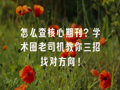 怎么查核心期刊？学术圈老司机教你三招找对方向！