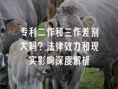 专利二作和三作差别大吗？法律效力和现实影响深度解析