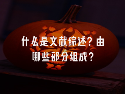 什么是文献综述？由哪些部分组成？